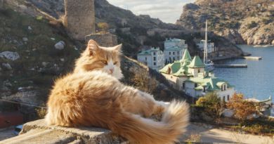Тур из Витязево (фото 2)